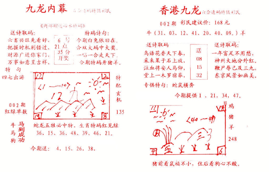 002期九龙内幕[图]