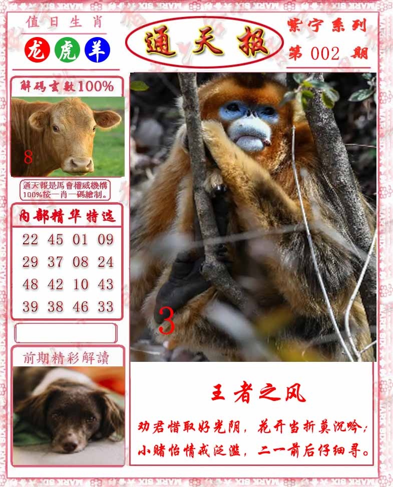 002期救通报[图]