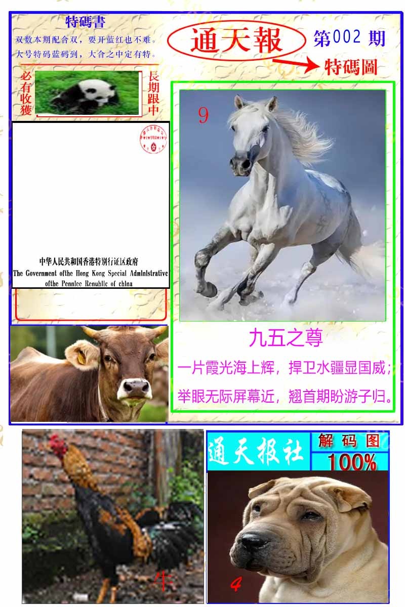 002期通天特解图[图]