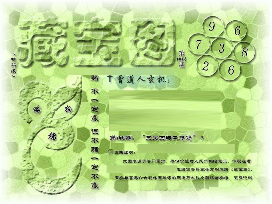 002期假新藏宝图[图]