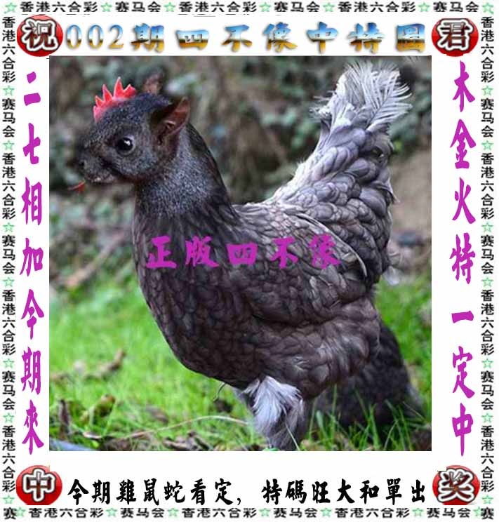 002期正版四不像[图]