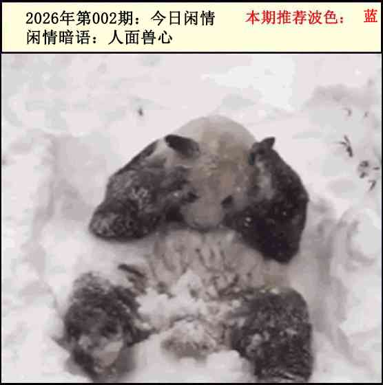 002期今日闲情2[图]