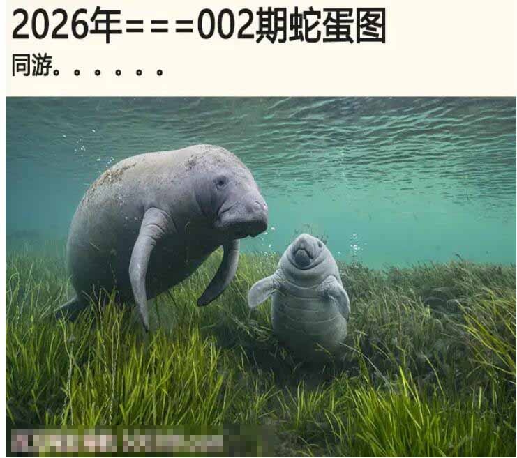 002期另版蛇蛋图[图]